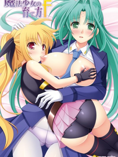 [K-Drive (鸣滝しん)] 魔法少女の育て方F (魔法少女リリカルなのは) [DL版]