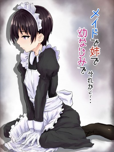 メイドで姉で幼なじみでそれから・・・