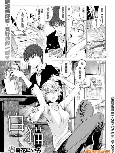 [几花にいろ][白猫]