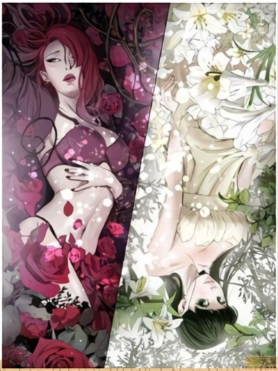 ACE:禁断的诈欺之夜 1 2季全