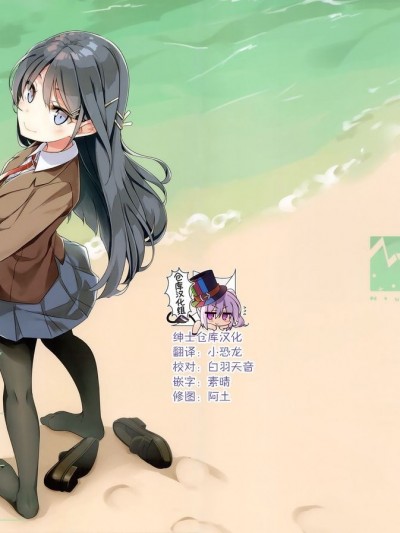 [绅士仓库汉化] (C95) [NtyPe (沟口ケージ)] BUNNY A GIRL! (青春ブタ野郎はバニーガール先辈の梦を见ない)