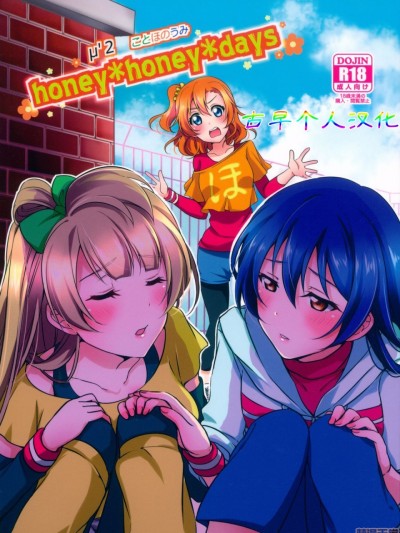 [古早个人汉化] (C89) [枭の邮便屋さん (上戸ルリ)] honeyhoneydays (ラブライブ!) [中国翻訳]