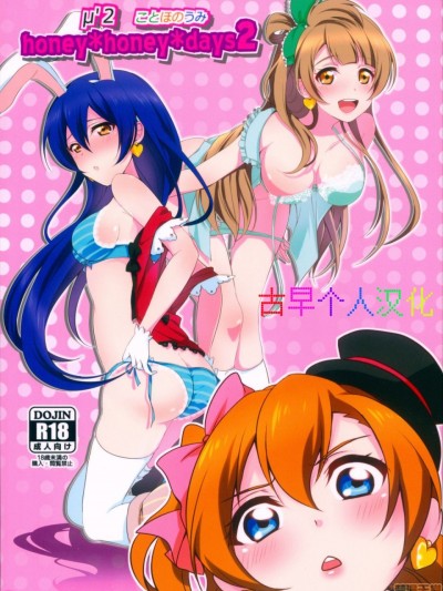 [古早个人汉化] (C90) [枭の邮便屋さん (上戸ルリ)] honey＊honey＊days2 (ラブライブ!) [中国翻訳]