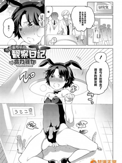 [命わずか][うさぎちゃん観察日记]