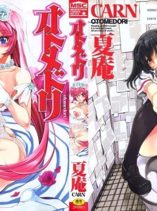 [夏庵][オトメドリ]