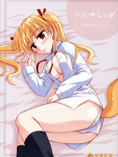 (C68) [へっぽこ幼稚园 (はるゑもん)] ハリーのしっぽ (スクールランブル)(日)