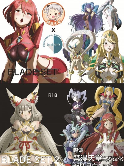 ［新桥月白日语社x禁漫天堂］(同人誌) [いのり堂 (いのり)] BLADE SET DX (ゼノブレイド2) [DL版]