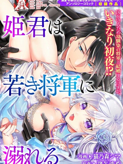 公主被年轻将军迷恋 [莉赛特汉化组] [猫乃森シマ 逢矢沙希] 姫君は若き将军に溺れる [中国翻訳]