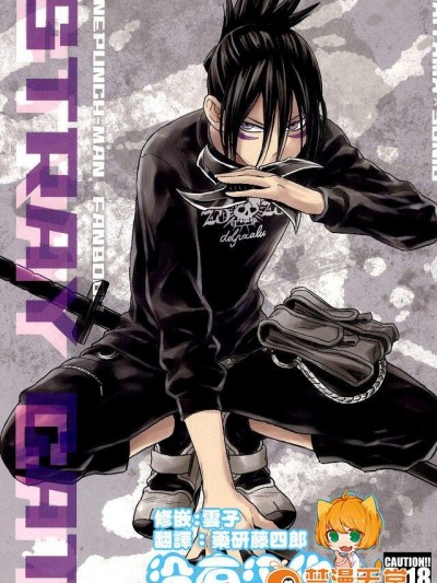 [リシアム(ユキマル)][stray cat]