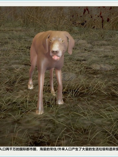 [配种站主任] 三美大战野狗群