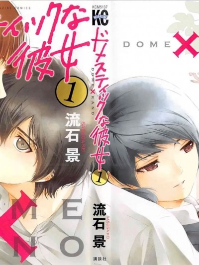 家有女友 [流石景] ドメスティックな彼女