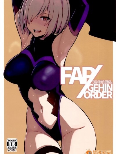 (FF27) [黑轮] FAP／ GEHIN ORDER (Fate／Grand Order)