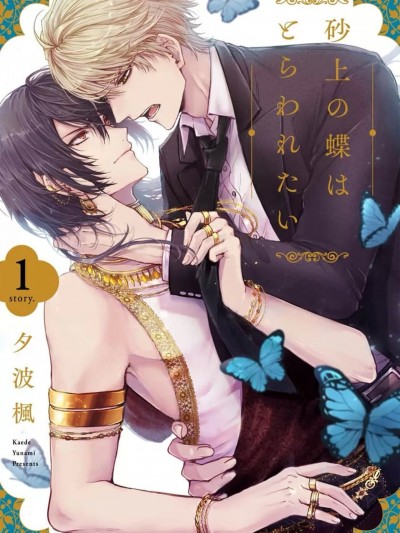 沙漠之蝶意欲被捕 [看海汉化组] [夕波枫] 砂上の蝶はとらわれたい