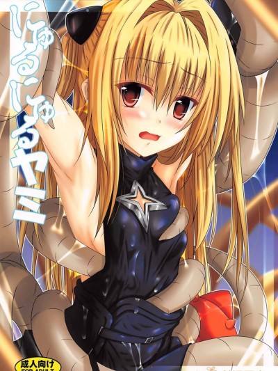 [夜の勉强会(ふみひろ)][にゅるにゅるヤミ]