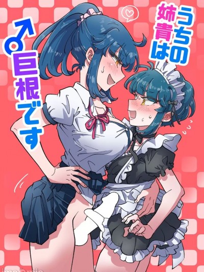 我的巨根姐姐 [爱爱汉化][AI上色] [blue lung] うちの姉贵は巨根です [中国翻訳]