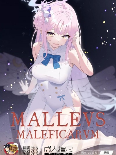 (C102) [かわいそうなのは抜ける (ヌケル)] Malleus Maleficarum -魔女に与える鉄槌- (ブルーアーカイブ) [DL版]