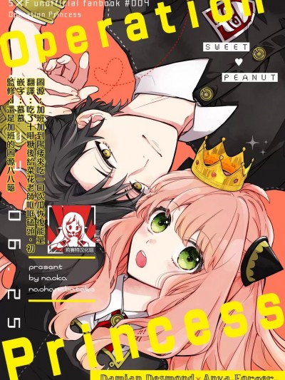 [莉赛特汉化组] [菜花ばたけ (菜花)] Operation Princess (SPY×FAMILY) [中国翻訳]