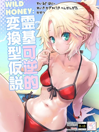 [Peθ (もず)] WILD HONEY:霊基可逆的変换型仮説 (Fate/Grand Order) [中国翻訳] [DL版]