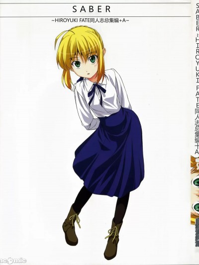 (C72) [自称清纯派 (ヒロユキ)] Saber ～ヒロユキFate同人誌総集编＋α～ (Fate/stay night、月姬) [中国翻訳]