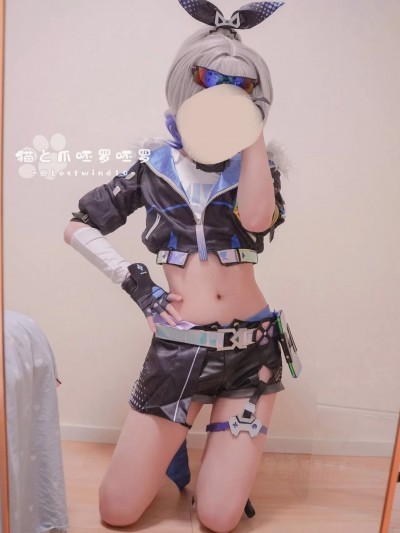 Lostwind10 - Silver Wolf