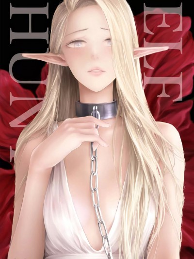 ] [BLUE氪个人翻译] (COMITIA145) [ONOKORO堂(史鬼匠人)] ELF HUNT   ペーパー[中国翻訳]