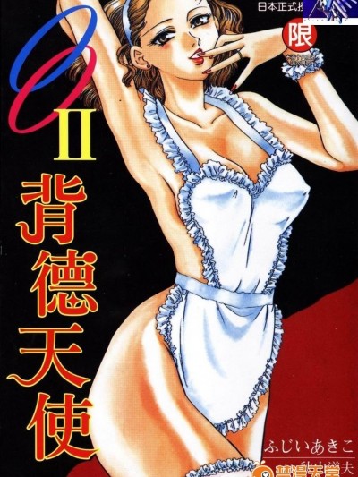 [ふじいあきこ, 秋山道夫] OO(ダブルオー) II 纯洁の反作用