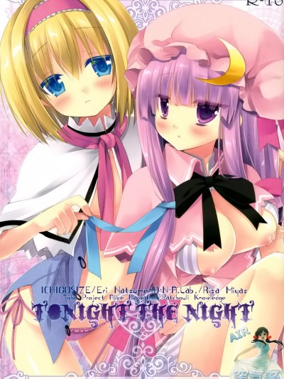 [空気系★汉化] (例大祭9) [D・N・A.Lab., いちごさいず (ミヤスリサ, なつめえり)] Tonight The Night (东方Project)